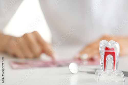 Model of molar tooth on dentist table closeup