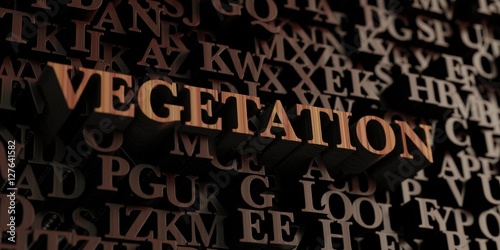 Vegetation - Wooden 3D rendered letters/message. Can be used for an online banner ad or a print postcard.