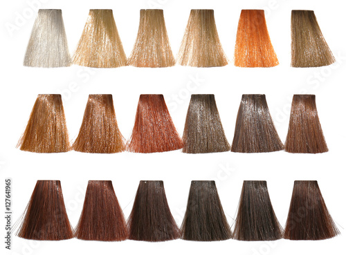 Palette tints for hair dyeing in catalog