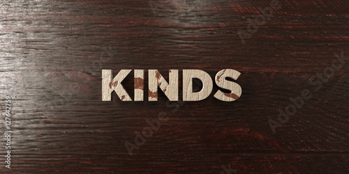 Kinds - grungy wooden headline on Maple - 3D rendered royalty free stock image. This image can be used for an online website banner ad or a print postcard.