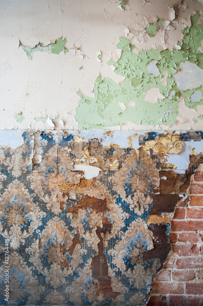 Serene Old Wall Paint View in HD Serene Old Wall Paint View in HD