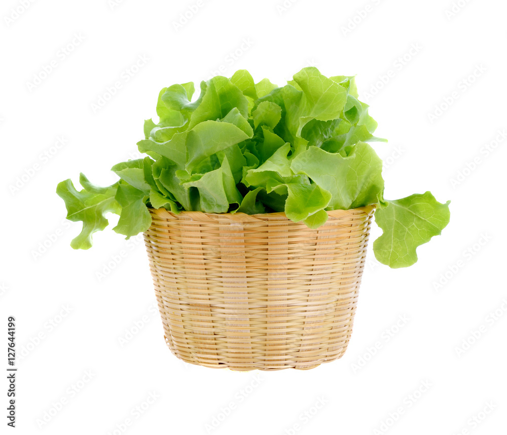 fresh lettuce leaves in basket isolated on white background fresh lettuce leaves in basket isolated on white background