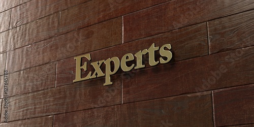Experts - Bronze plaque mounted on maple wood wall - 3D rendered royalty free stock picture. This image can be used for an online website banner ad or a print postcard.