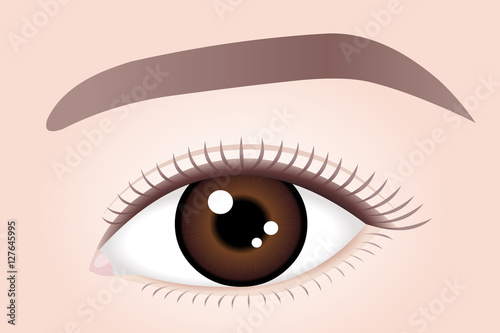 Woman brown eye.