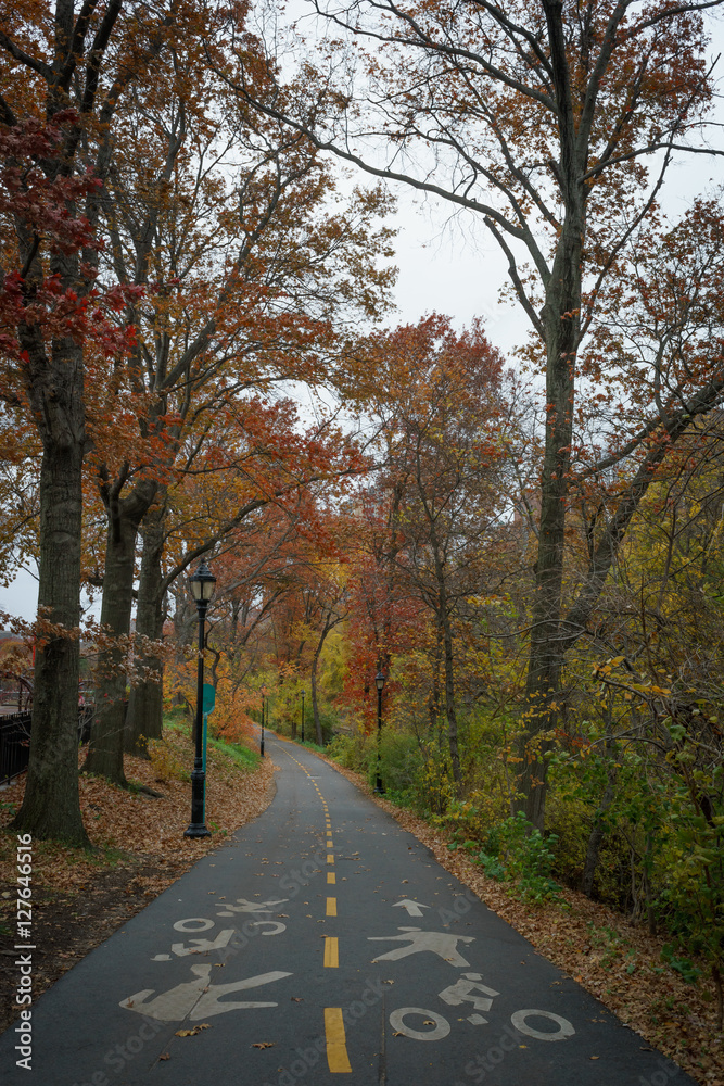NYC greenway bike path through Fort Washington Park on a dark au NYC greenway bike path through Fort Washington Park on a dark au