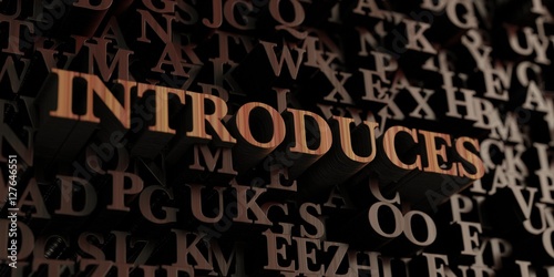Introduces - Wooden 3D rendered letters/message. Can be used for an online banner ad or a print postcard.