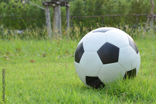 Football or soccer ball on green grass,sport equipment. © LittleGallery