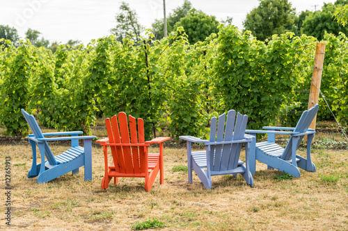 Colorful muskoka chairs for people to relax in during the tour. Beautiful lush green vineyard on a sunny summer day.