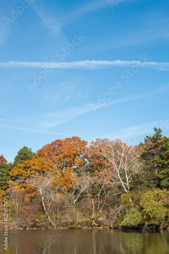 Autumn parkland featuring a sun-lit pond, vivid fall colors on trees and bright blue sky. © studiolaska