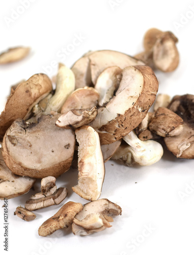 Sliced raw fresh crimini and oyster mushrooms