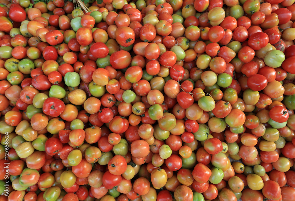 fresh tomatoes selling at the vegetable market fresh tomatoes selling at the vegetable market