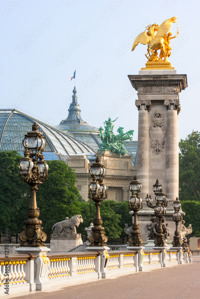Fototapeta premium Pont Alexandre III bridge (details) and Grand Palais. Paris, Fra