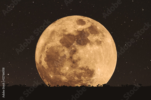 Fotografia Full moon at night with stars with silhouette glass lawn