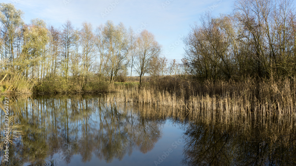 Kleiner Teich im Herbst