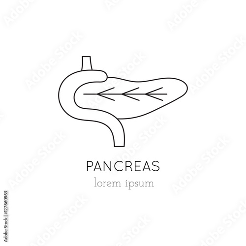 Pancreas line icon