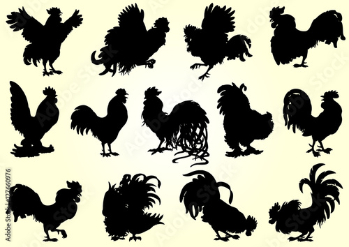 Set roosters black silhouette on white