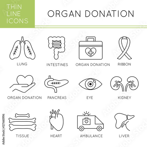 Organ Transplantation icon set