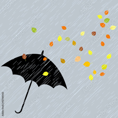 Rainy autumn background