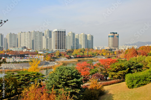 city tower building from a park / A view of city tower building from a park in Seoul Korea