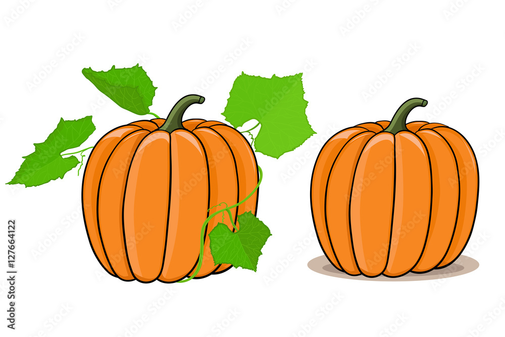 Obraz premium Pumpkin