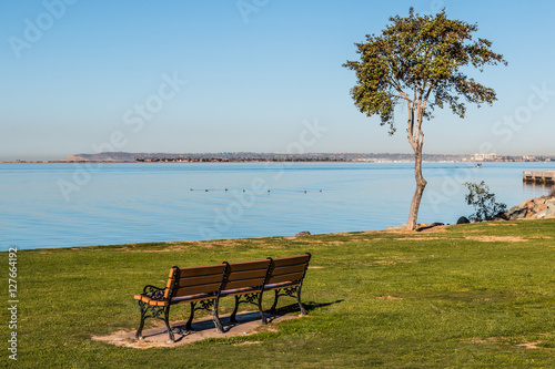 Bench and tree facing San Diego Bay at the Chula Vista Bayfront park, with Point Loma at the horizon line.  