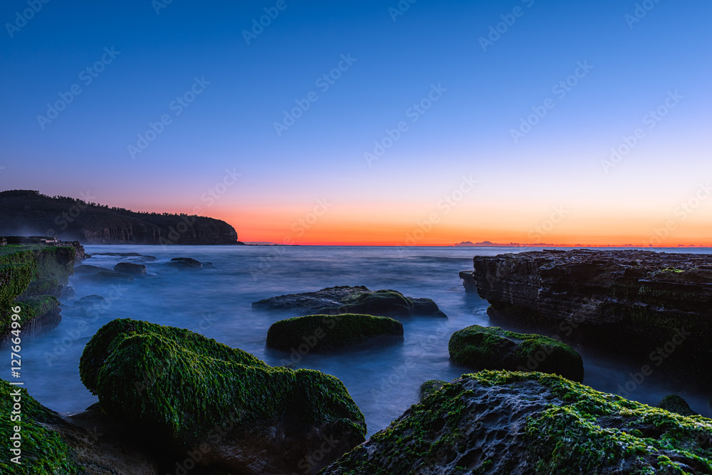 Stone with algae on Narrabeen Beach at sunrise in Sydney Australia Stone with algae on Narrabeen Beach at sunrise in Sydney Australia