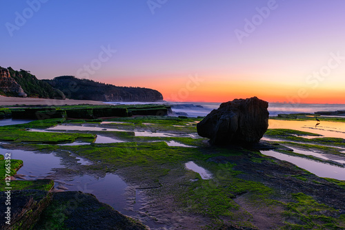 Stone with algae on Narrabeen Beach at sunrise in Sydney Australia photo