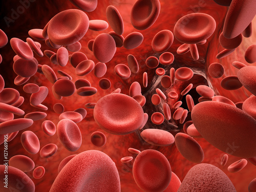 Photography red blood cells in vein
