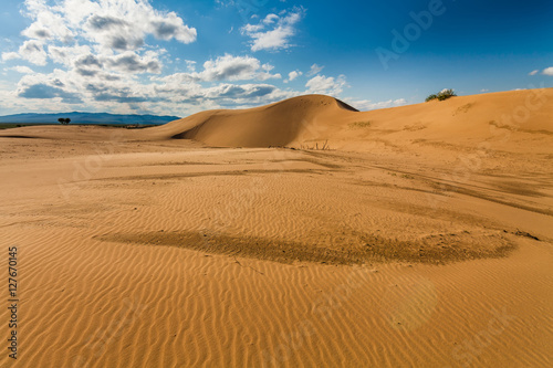 Beautiful desert landscape with sand dunes. Mongolia. © Anton Petrus