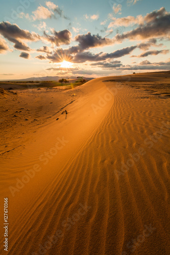 Picturesque desert landscape in the rays of sunset