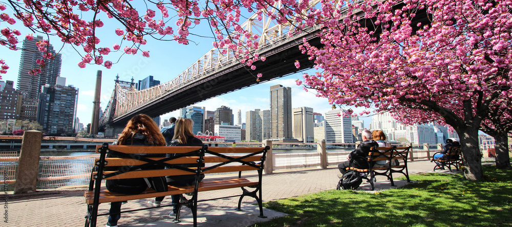 Naklejka premium New York City / Roosevelt Island