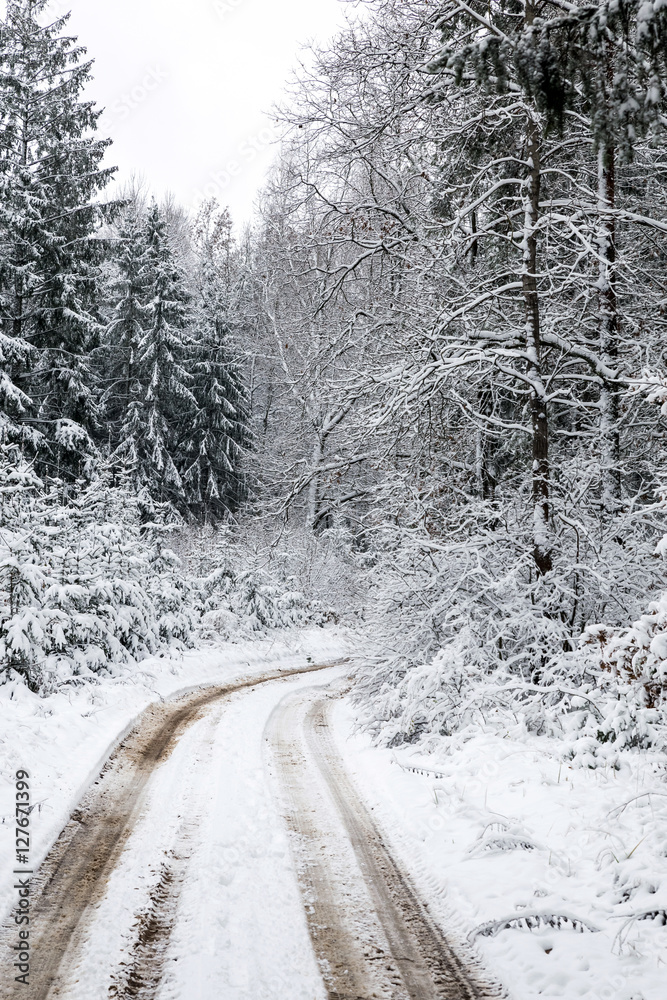 Road at white winter landscape in the forest. Road at white winter landscape in the forest.