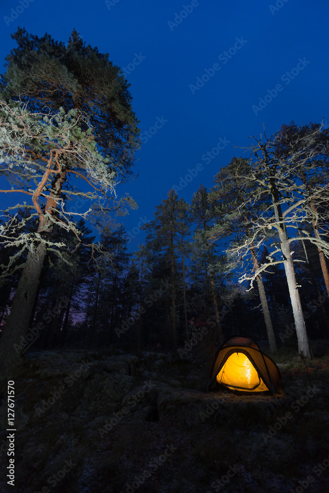 Wild camping in wilderness in old forest