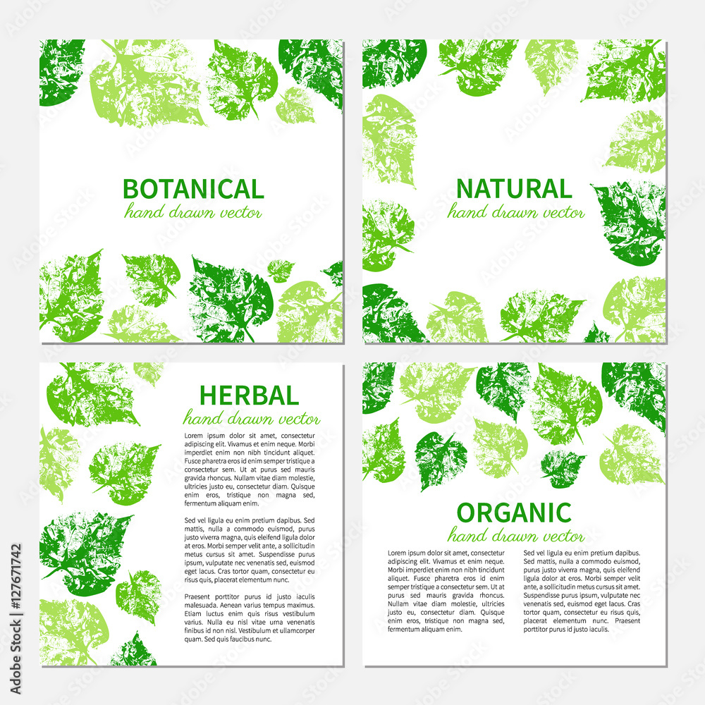 Hand drawn vector graphic green leaves isolated on white, Set of 4 eco square cards, banners with designed frame and text, template perfect for cosmetic,beauty salon, store natural and organic product