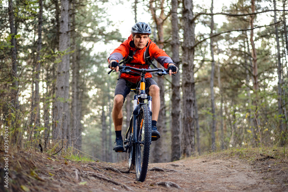 Cyclist Riding the Bike on the Trail in the Forest. Extreme Sport. Cyclist Riding the Bike on the Trail in the Forest. Extreme Sport.