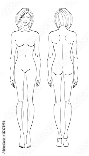 Female figure: front and back. Vector. Human body in linear style.