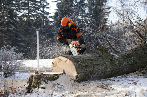 Foto Proffesional Lumberjack Cutting big Tree during the Winter wearing protection clothes using chainsaw close up view