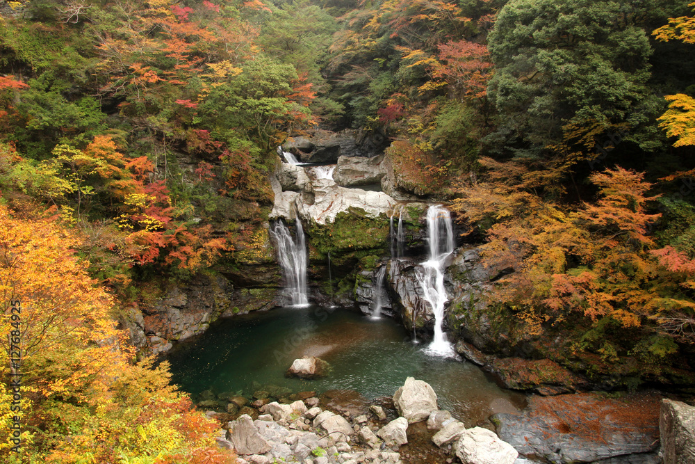 Fototapeta premium 大轟の滝 秋