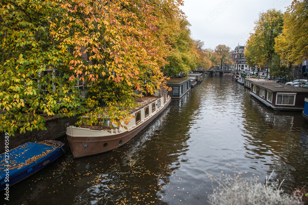 Fototapeta premium Beautiful canals in Amsterdam, the Netherlands