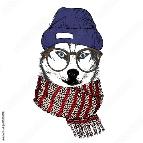 Vector hand drawn portrait of cozy winter dog. Siberian husky wearing knitted scarf, beanie and hipster glasses. photo