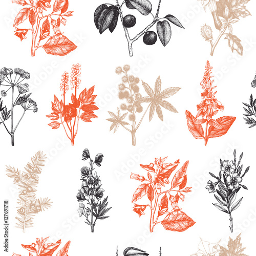 Seamless pattern with hand drawn poisonous plants illustrations. Vintage background with botanical elements