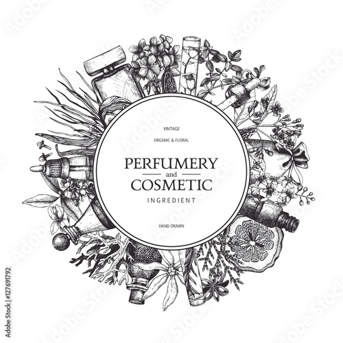 Vector design with hand drawn perfumery and cosmetics ingredients. Decorative background with vintage aromatic plants sketch. photo