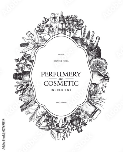 Vector design with hand drawn perfumery and cosmetics ingredients. Decorative background with vintage aromatic plants sketch 