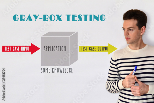 Gray-box testing as a type of penetration testing