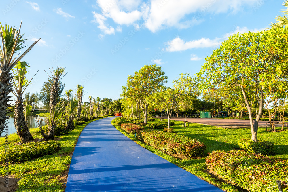 Fototapeta premium public park landscape