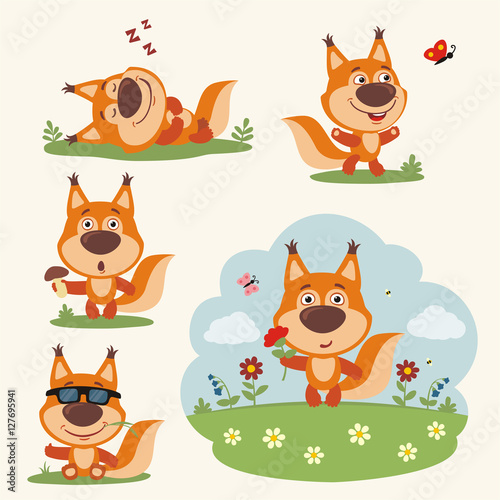Vector set funny squirrel in different poses on summer meadow with flowers. Collection little squirrel in cartoon style.
