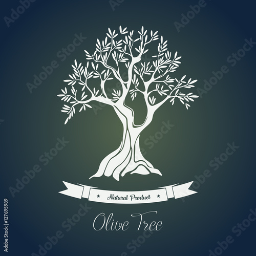 Branches on tree with olive oil berry