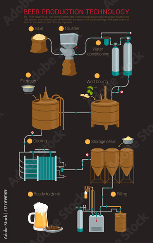 Beer production process infographic