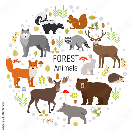 Set of forest animals in a circle isolated on white background. Vector illustration. Moose  wild boar  bear  fox  rabbit  wolf  skunk  raccoon  deer squirrel hendgehog
