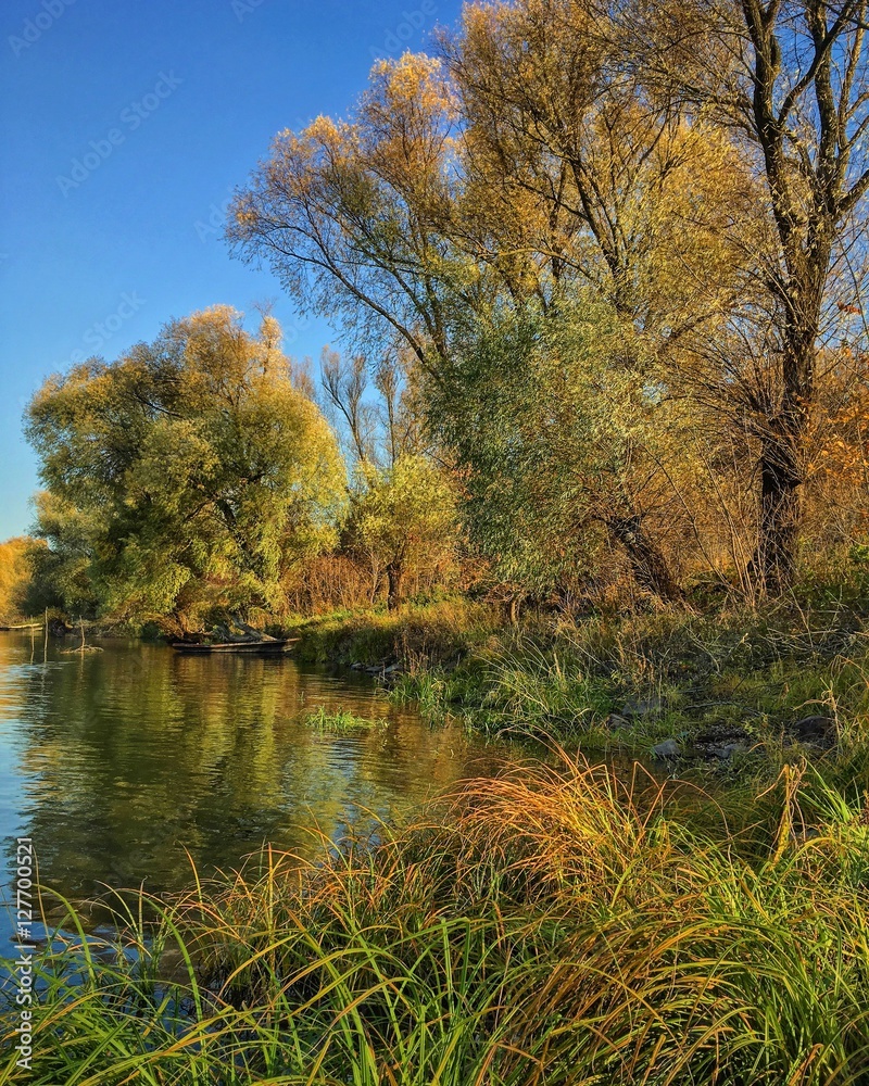 fall on riverbank fall on riverbank
